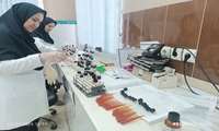فعالیت شبانه روزی کارکنان آزمایشگاه مرجع بهداشت دانشگاه علوم پزشکی لرستان در ایام تعطیل