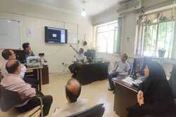 برگزاری وبینار آموزشی کشوری مالاریا 