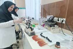 فعالیت شبانه روزی کارکنان آزمایشگاه مرجع بهداشت دانشگاه علوم پزشکی لرستان در ایام تعطیل