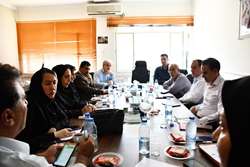 برگزاری کمیته بین بخشی و درون بخشی نظارت بر عوامل محیطی مراسم معنوی اربعین حسینی سال ۱۴۰۴