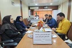 جلسه طرح مدارس ارتقا دهنده سلامت دهان و دندان دانش آموزان استان لرستان برگزار شد