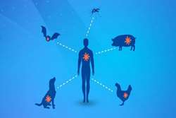 ۱۶ الی ۲۲ تیرماه هفته آگاهی رسانی درباره بیماری های زئونوز «یک جهان،یک سلامت، یک آینده با هم برای پیشگیری از بیماری‌های قابل انتقال بین انسان و حیوانات»