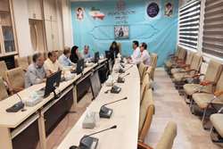 جلسه توجیهی مدیران و کارشناسان حوزه بهداشت درخصوص بیماری‌های منتقله از طریق پشه آئدس